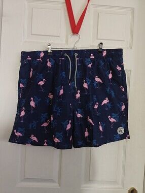 SURFCUZ Nwt Flamingo Swim Shorts